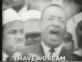 447E6E44-3906-4630-87DE-0A6091F04C6E.gif