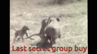 45130474-E62A-4035-B589-E90D3E5B3FC1.gif