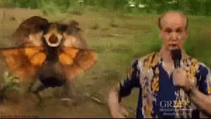 46F48935-C2C5-4212-B07D-0C250E7BBF09.gif