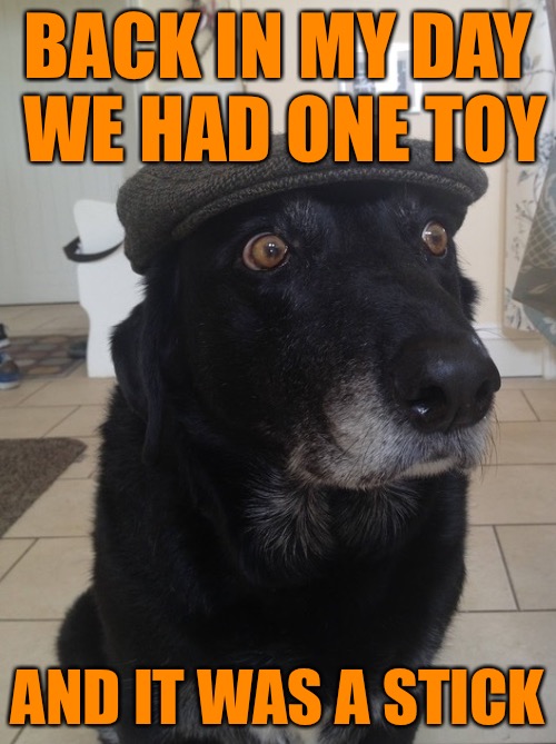 479F5D51-F0DF-431B-9CD6-102E3264CA5C.jpeg
