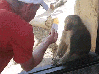 47ef29d576e34e543113bc559508ef10.gif