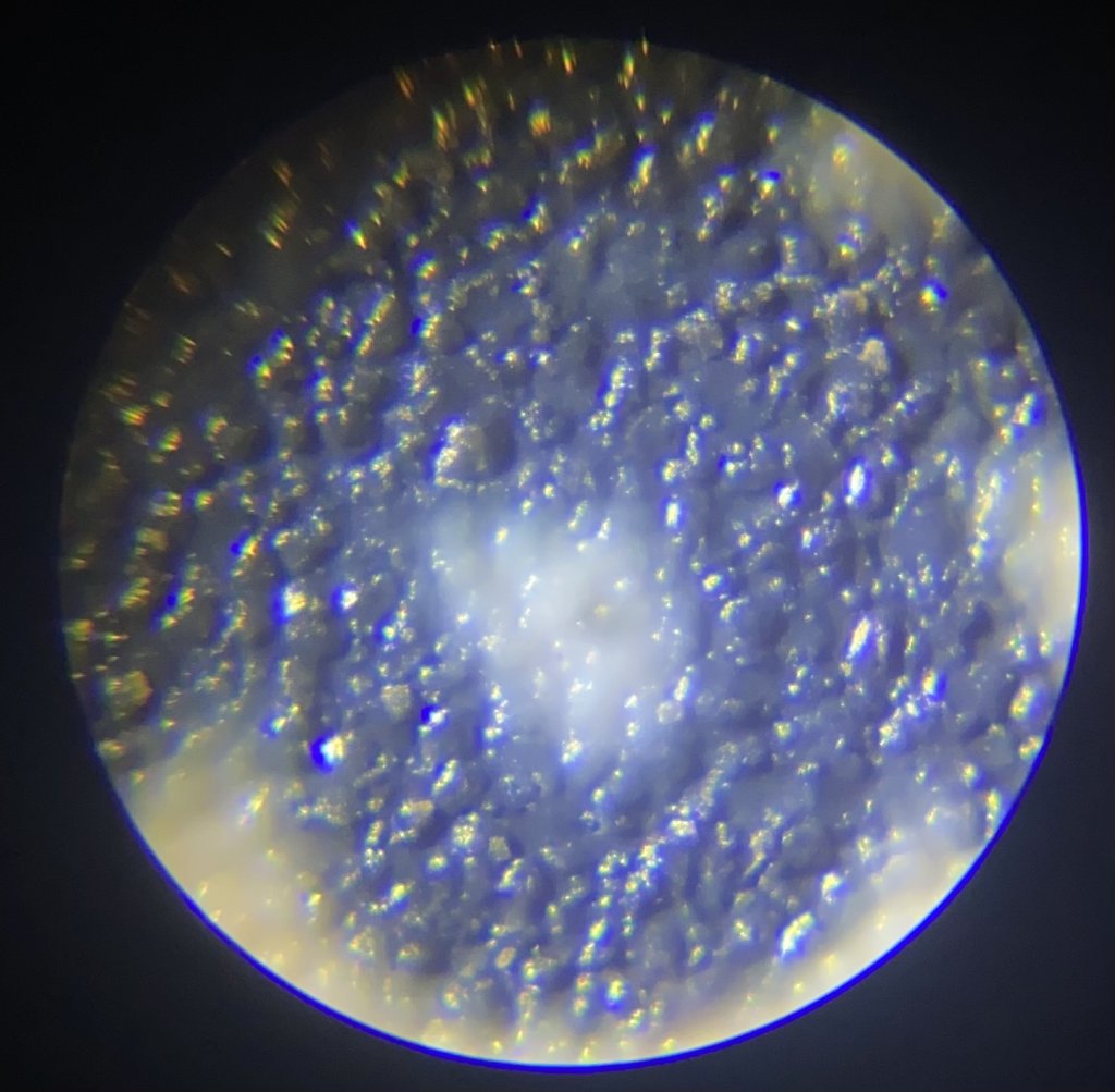 4D2C2824-075D-4A86-828E-33BB422F4D5F.jpeg