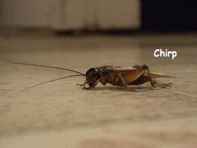 4FEEB6A8-3C94-47B2-8F0A-75ABBD2CB3B6.gif