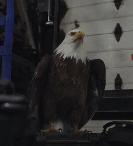 50EAA4EB-78FA-4420-AC2C-E6621DCE3B52.gif