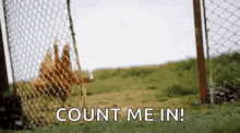 55F336F3-A52F-4815-8058-941938AC3D5D.gif