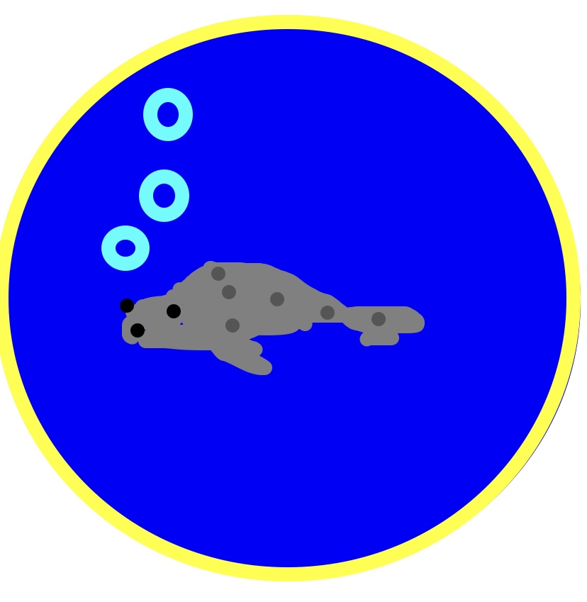 59749EDE-D6CD-4D2C-9AF1-183CDBAF3568.jpeg
