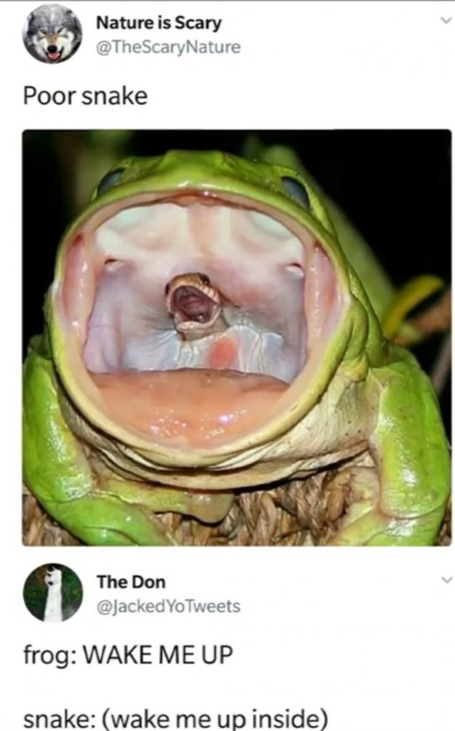 5a8c81df8e3f0.jpeg