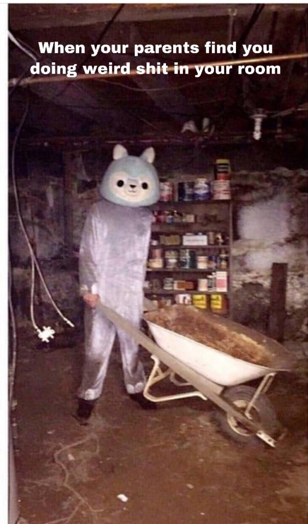5c2ae08fd0088.jpeg