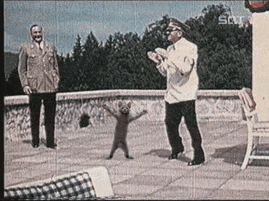 5UtZZg2.gif