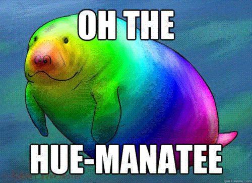 60BB897B-9AB3-4E69-B2EB-AECE71336426.gif