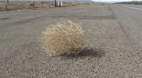 6125A9E0-045A-4A35-AFAB-0B022610BFDD.gif