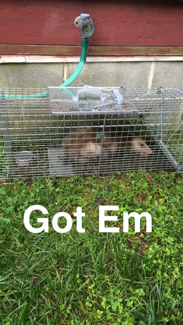 61895AA9-57C6-433F-AC3E-4E54FCEEF468.jpeg