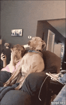 644E9B10-2204-4577-BE8E-CBEAE7A56032.gif