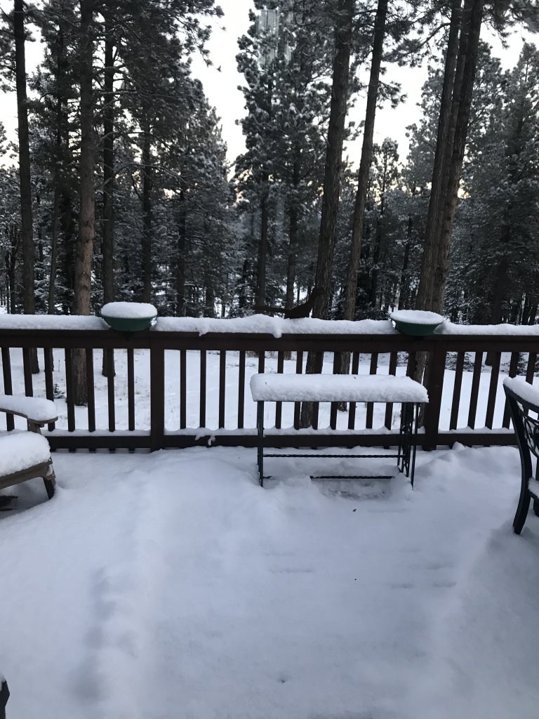 663E0AFB-2E4B-42F3-B48E-D53A1241835B.jpeg