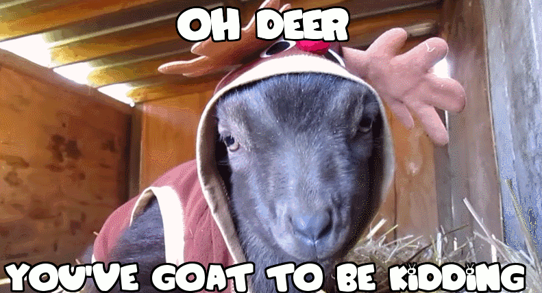 6B661127-EA05-49D0-A46F-C717DAAB2F65.gif