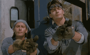 6CEA9097-6A6A-4039-8261-0EFC6FF783C6.gif