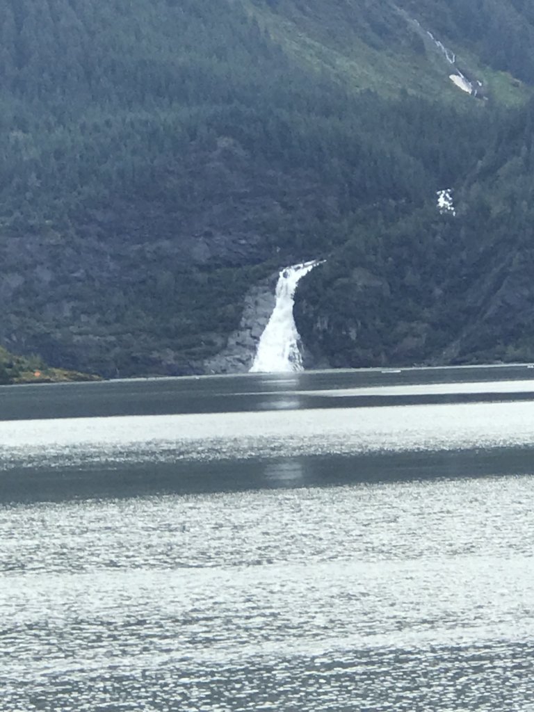 6F741680-1927-4E66-B84C-2073ECA04BE8.jpeg