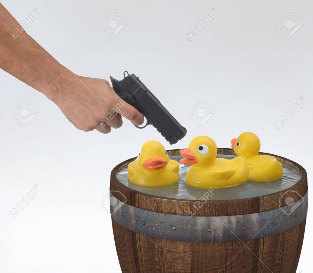 7053793-arm-of-a-person-holding-a-pistol-and-shooting-rubber-ducks-in-a-barrel.jpg