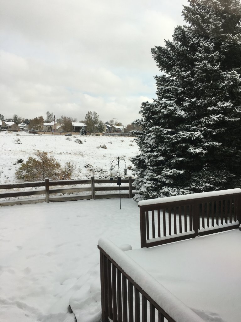 709424E4-7128-4B65-903D-270F0683C650.jpeg