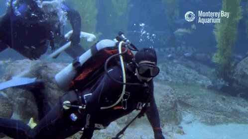 7286E87E-A50B-4C95-8AA4-D45CA8528D37.gif