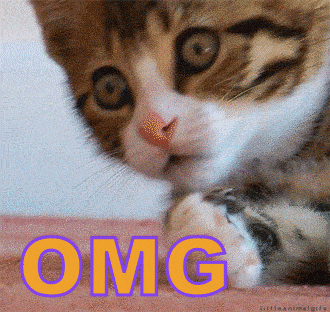 76EFA99E-2A90-420D-BB97-EA2F40F13F9A.gif