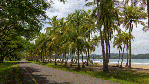 7767f60e416477953ab7a7b5ca15d6be.gif