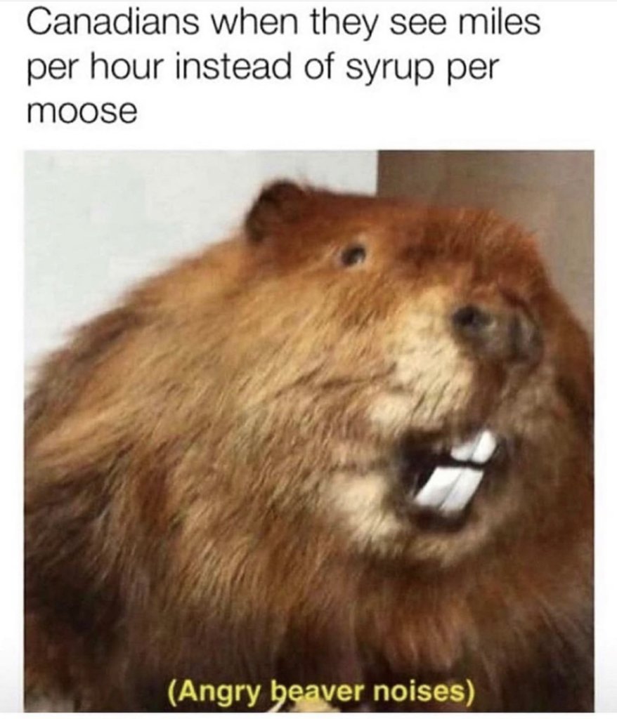 77E99B8F-2D0E-45F8-9702-F91035282362.jpeg