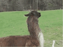 7D72EF90-3F7A-43BF-85CA-E324B6397AA1.gif