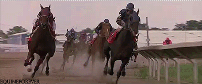 7hs (1).gif