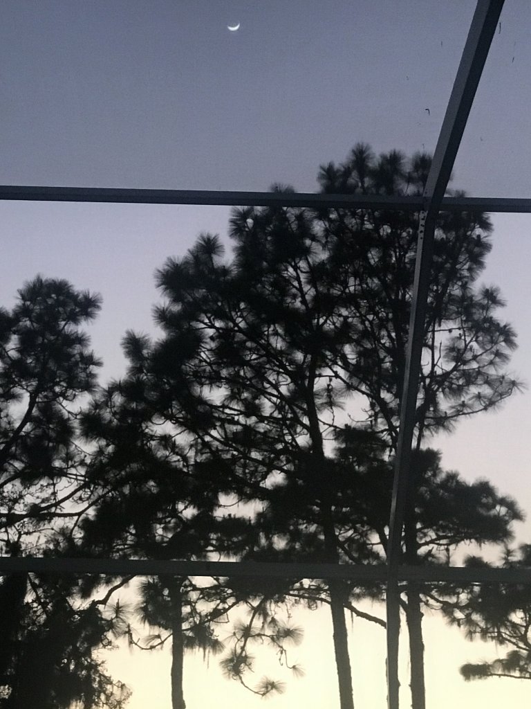 804058FF-2DDC-4B37-9E38-225BE5021C6C.jpeg