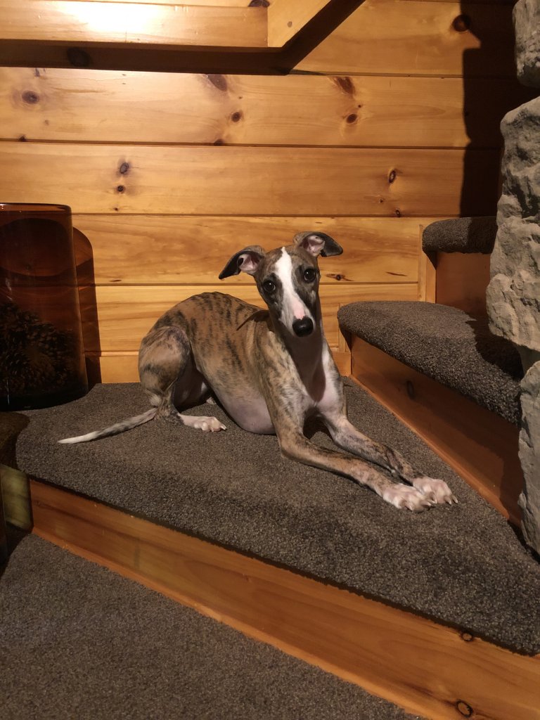 88702601-3CA0-416C-9F89-ED8245AA24E1.jpeg
