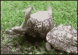 8AA704F7-22A7-47D8-AD1E-91424DC22B23.gif