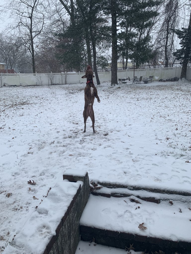 8AB0C940-6FEB-47DF-A7F9-8F34D0892FA5.jpeg