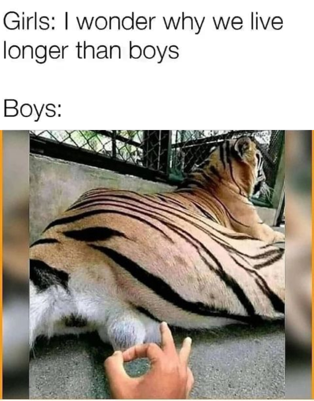 8d1b0791cf95e7e48eeac4951e8221890898b20d.png