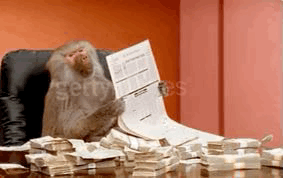 8EFBF55E-16EF-4742-B098-6ECB961FEF74.gif