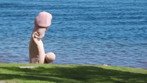 94D2F166-82B6-4E95-8820-D2D12281ECDD.gif