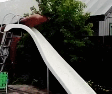 9c2f31bd2e241c693ad9485ff1625f144ae13452.gif