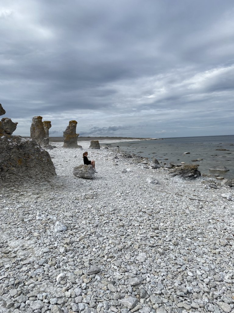 9D6477B6-9D6D-424B-9146-B8A195CF388F.jpeg