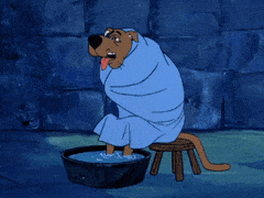 A002F65B-14F7-4ECC-B30C-67721616CF72.gif