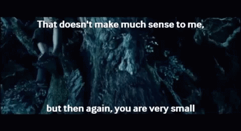 A0C9BFD5-24B3-4A97-9F91-102530A2115C.gif