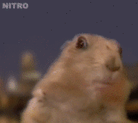 a5d89b8c37ad96dc56a5874bee8de8a5_w200.gif