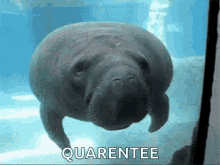 A84D195B-78BB-47CE-8EEA-A5FBE3B4D053.gif