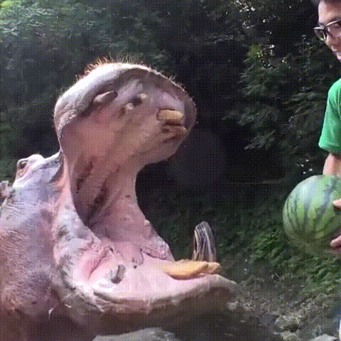 a8fa108d1183f2bc1e87f56ade5cb3d2.gif