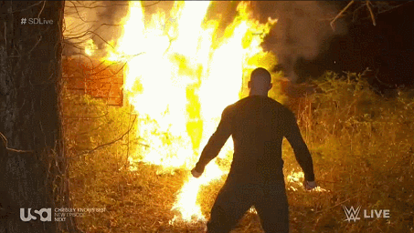 A934F139-96B6-4916-A590-EC52A19C4A22.gif