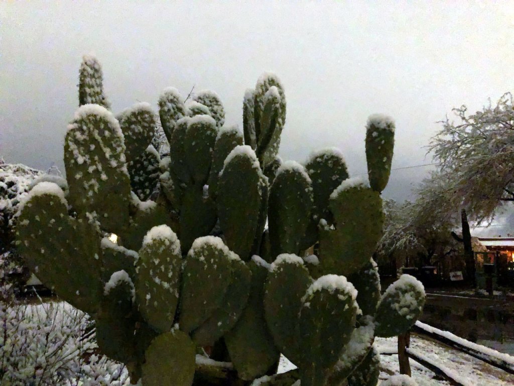 AD-Arizona-snow.jpeg