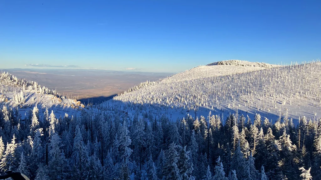 AD-viewoutthewindow-20260125a.webp