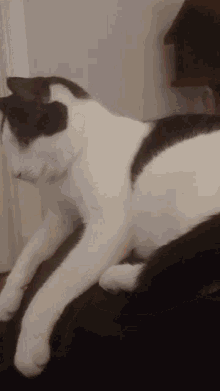 adventure-bump.gif