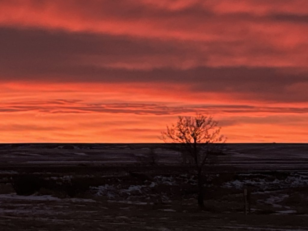 AFF0E598-F39B-441A-8156-E5D172DAEDDF.jpeg