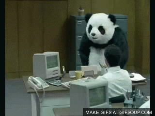 angry panda.gif