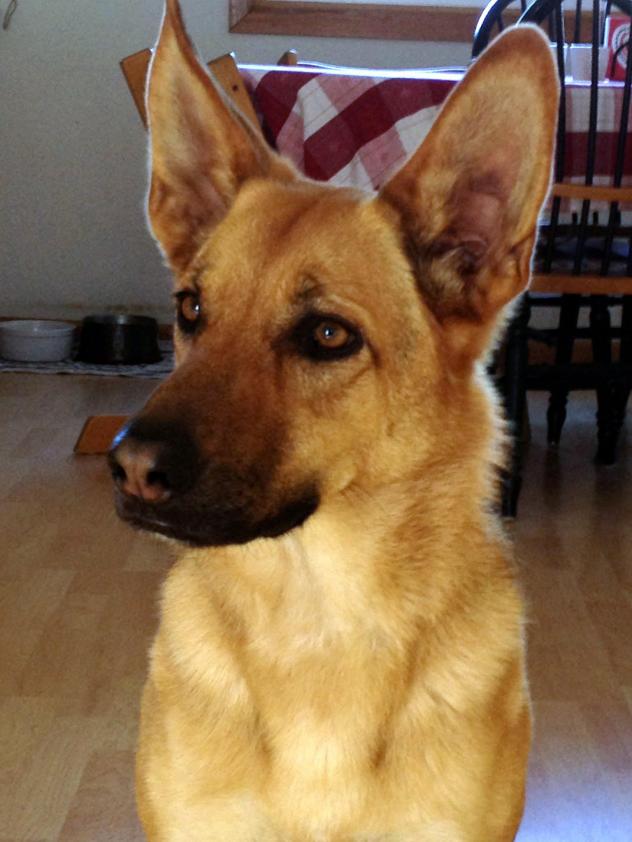 Anna before adoption.jpg